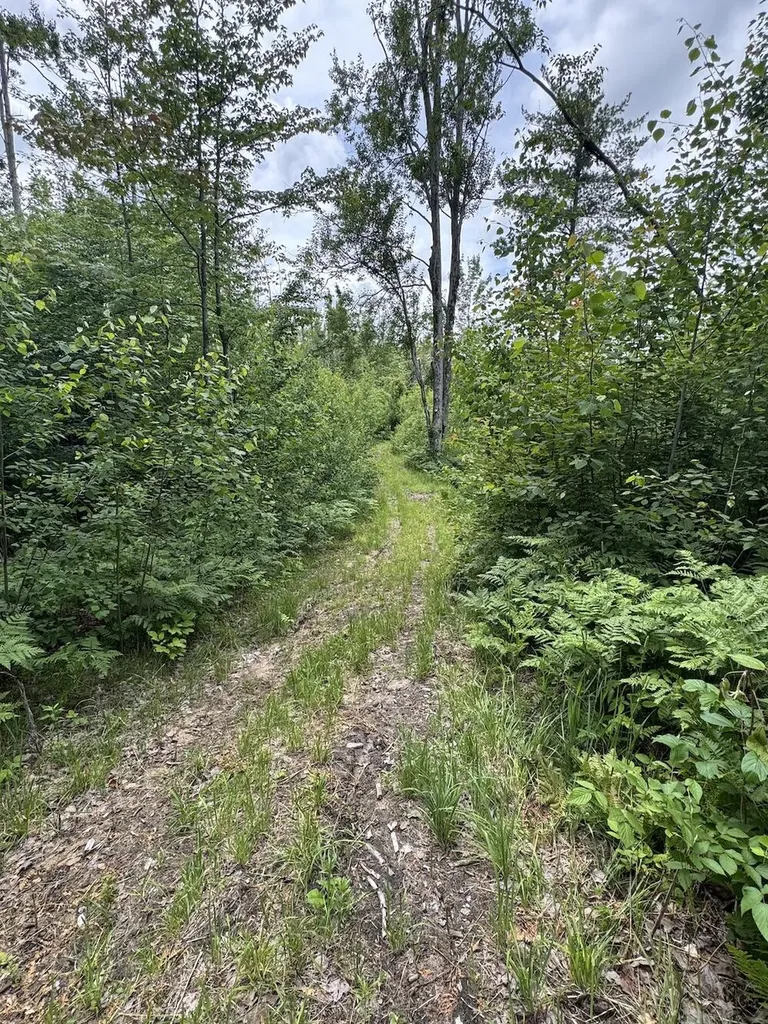1692 N Galbraith Road Elmer Township MI 48647