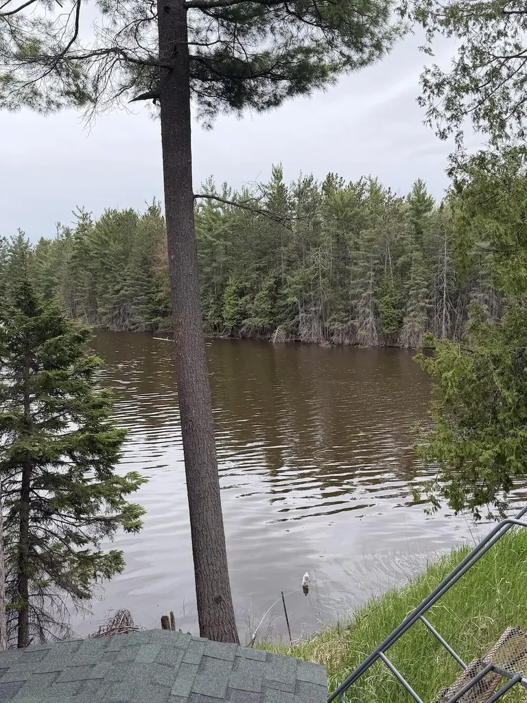 23095 Pleasant Valley Hillman Township MI 49746