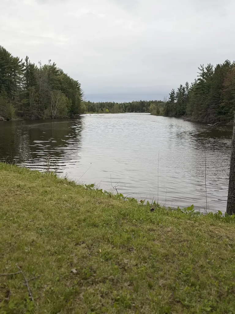 23095 Pleasant Valley Hillman Township MI 49746