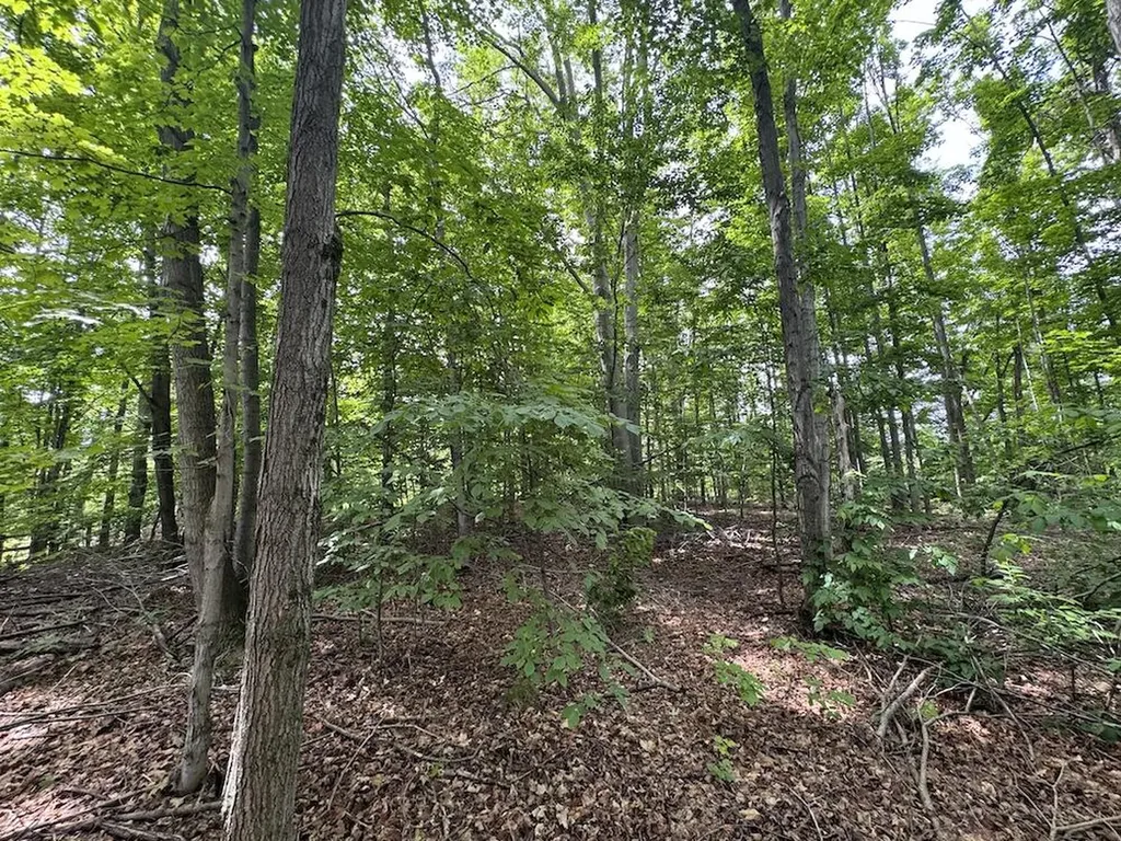 1734 N Galbraith Road Elmer Township MI 48647