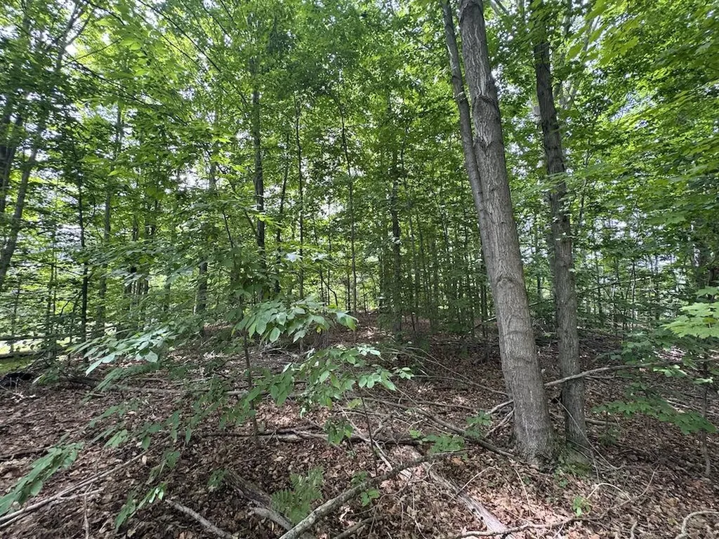 1734 N Galbraith Road Elmer Township MI 48647