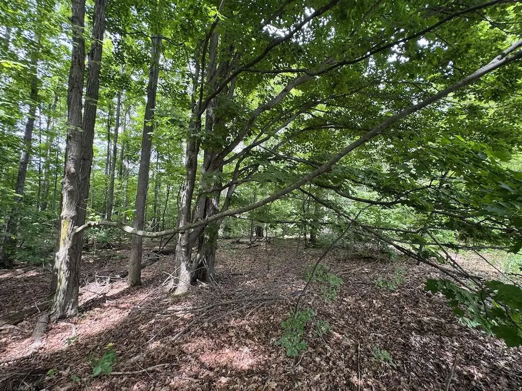 1734 N Galbraith Road Elmer Township MI 48647