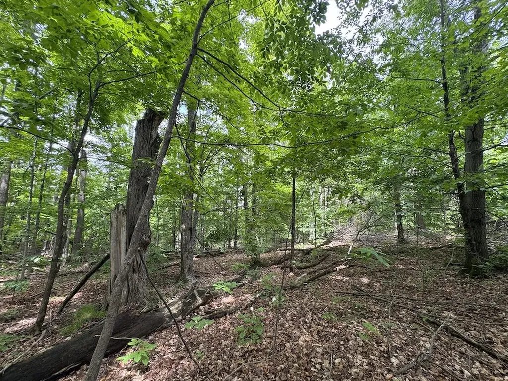 1734 N Galbraith Road Elmer Township MI 48647