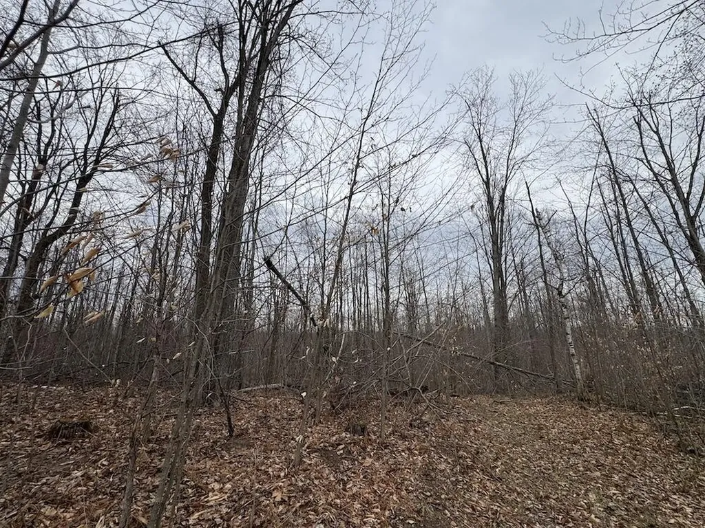 1734 N Galbraith Road Elmer Township MI 48647