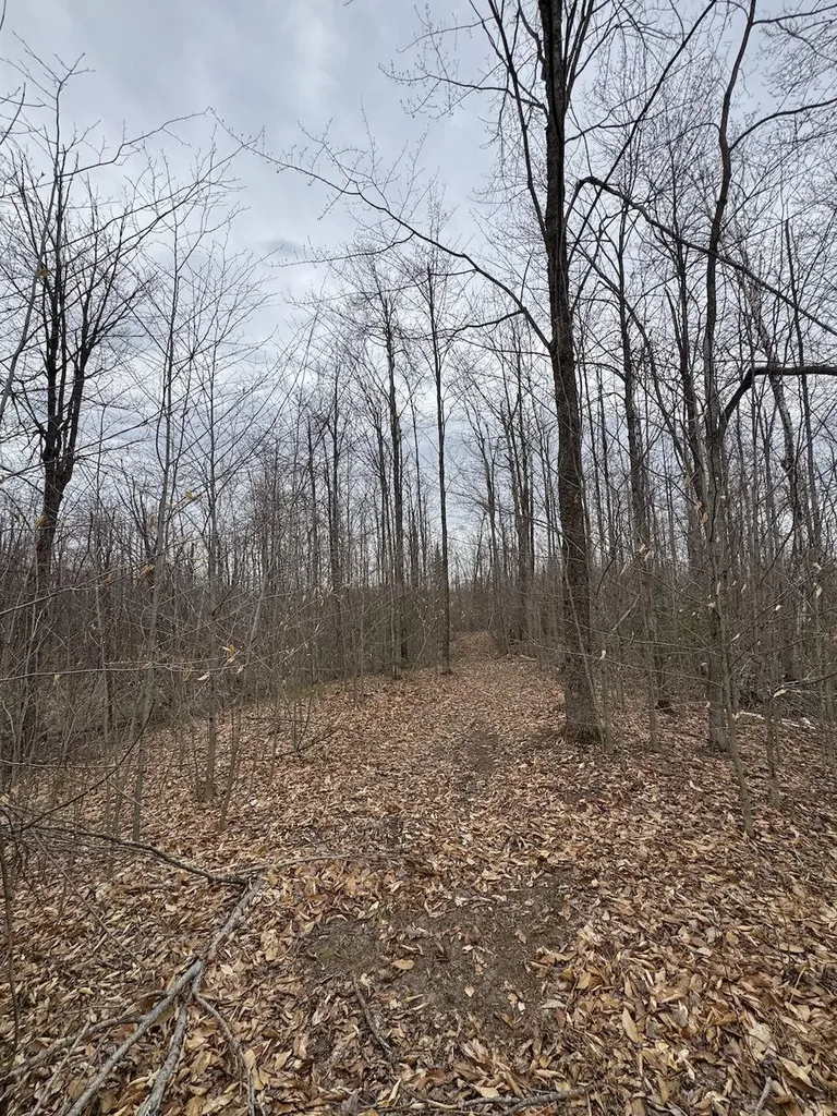 1734 N Galbraith Road Elmer Township MI 48647