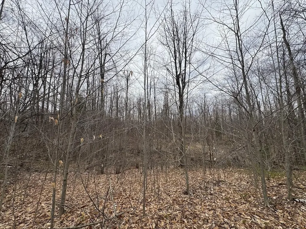 1734 N Galbraith Road Elmer Township MI 48647