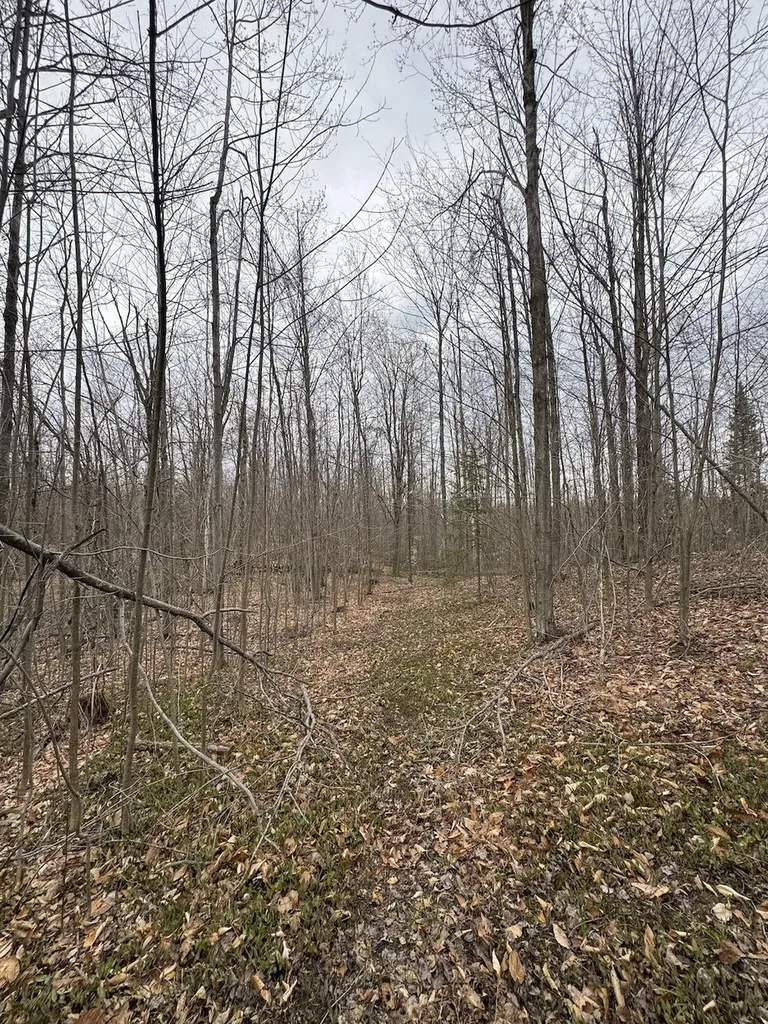 1734 N Galbraith Road Elmer Township MI 48647