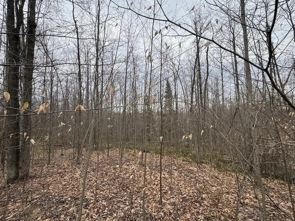 1734 N Galbraith Road Elmer Township MI 48647
