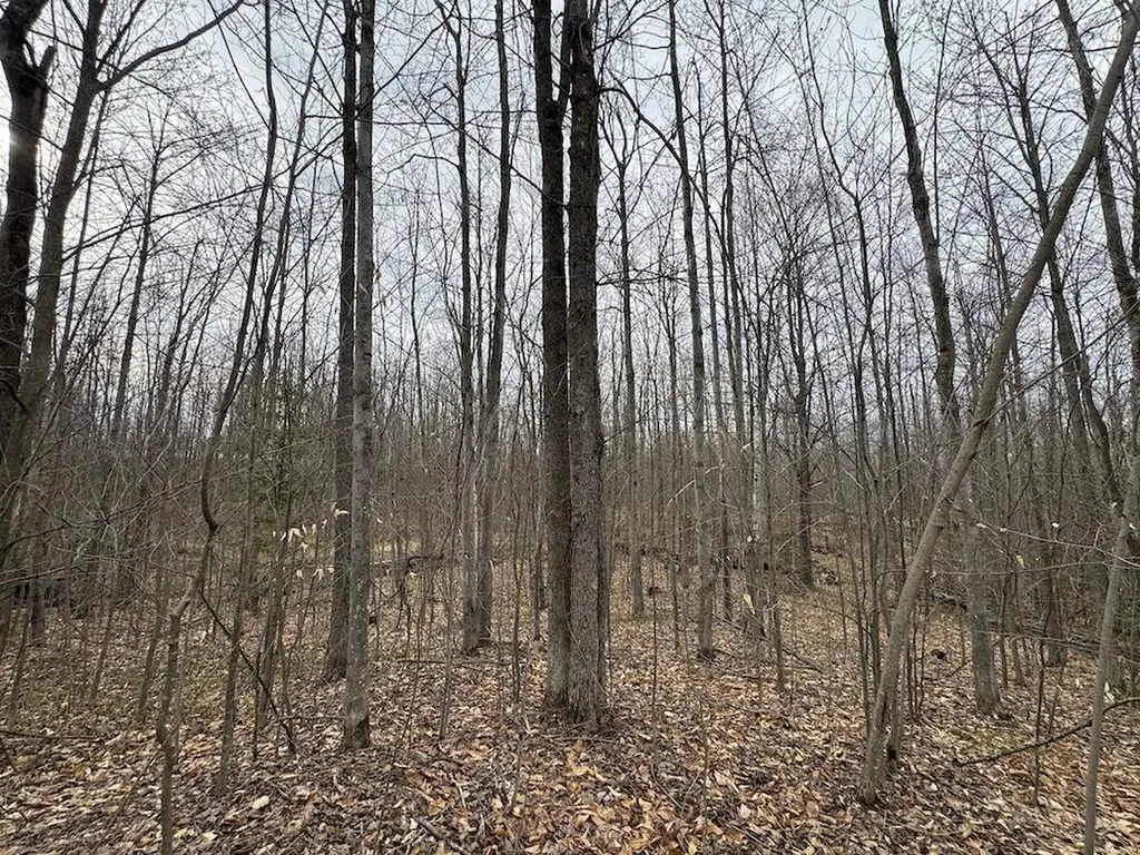 1734 N Galbraith Road Elmer Township MI 48647