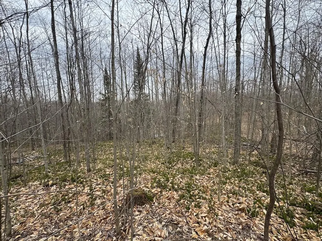 1734 N Galbraith Road Elmer Township MI 48647