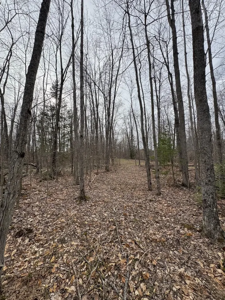 1734 N Galbraith Road Elmer Township MI 48647