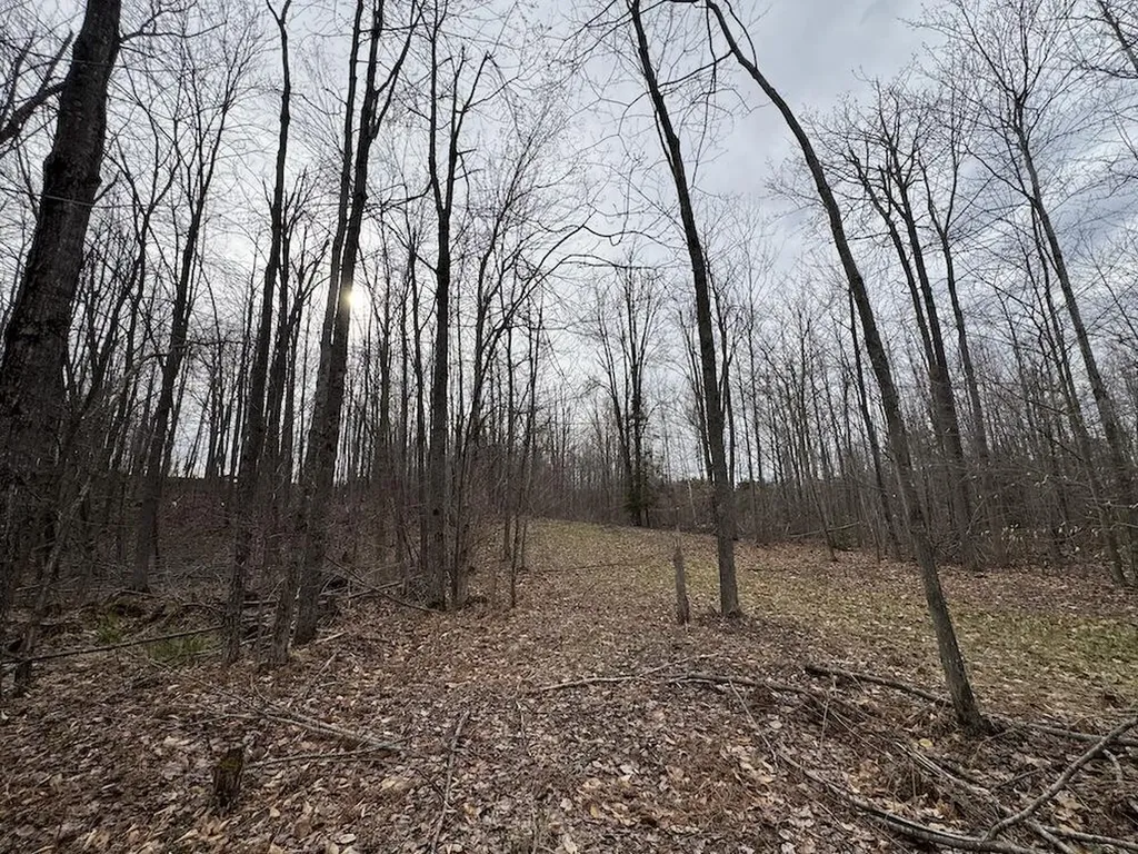 1734 N Galbraith Road Elmer Township MI 48647