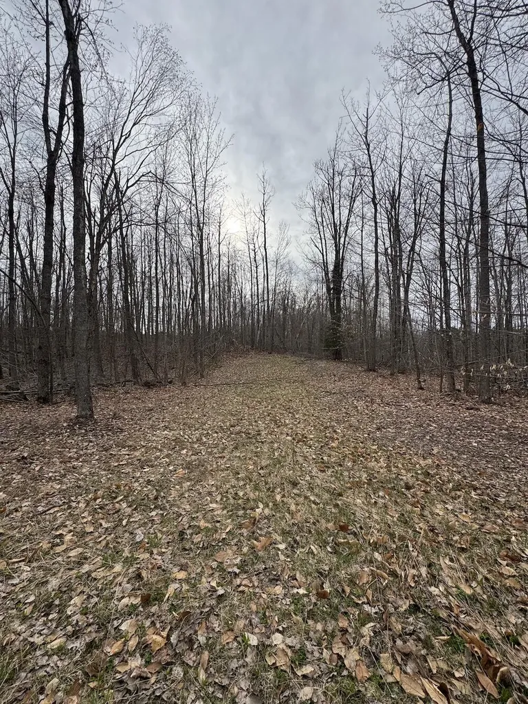 1734 N Galbraith Road Elmer Township MI 48647