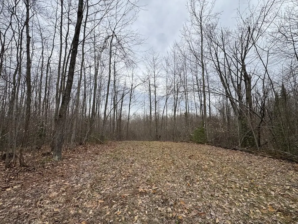 1734 N Galbraith Road Elmer Township MI 48647
