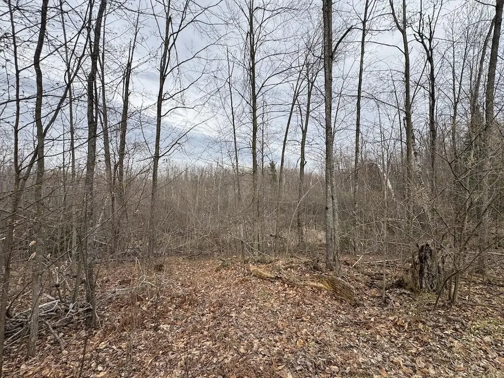 1734 N Galbraith Road Elmer Township MI 48647