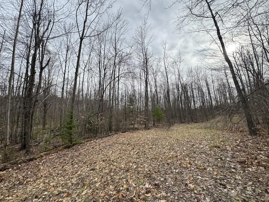 1734 N Galbraith Road Elmer Township MI 48647