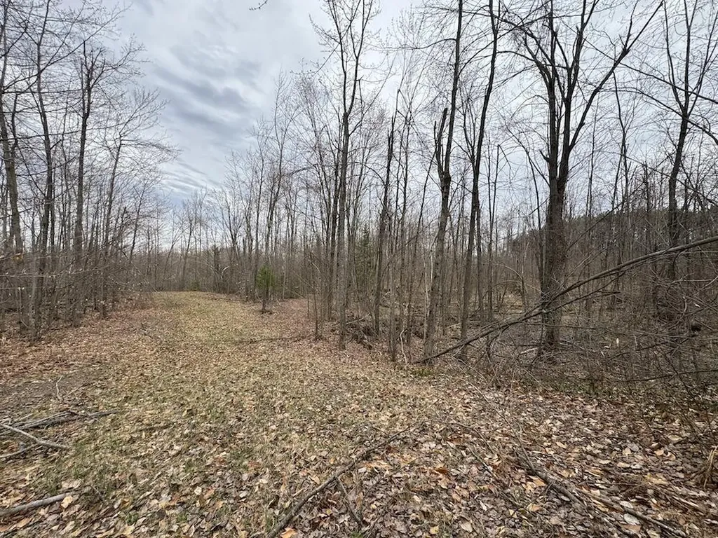 1734 N Galbraith Road Elmer Township MI 48647