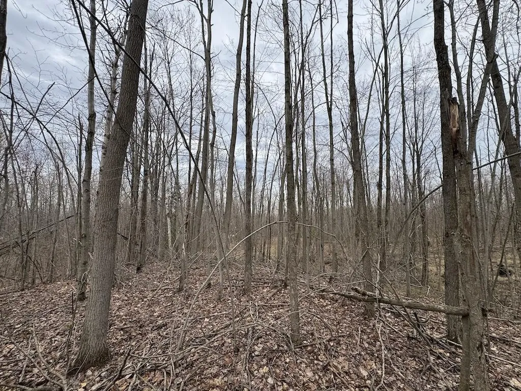 1734 N Galbraith Road Elmer Township MI 48647