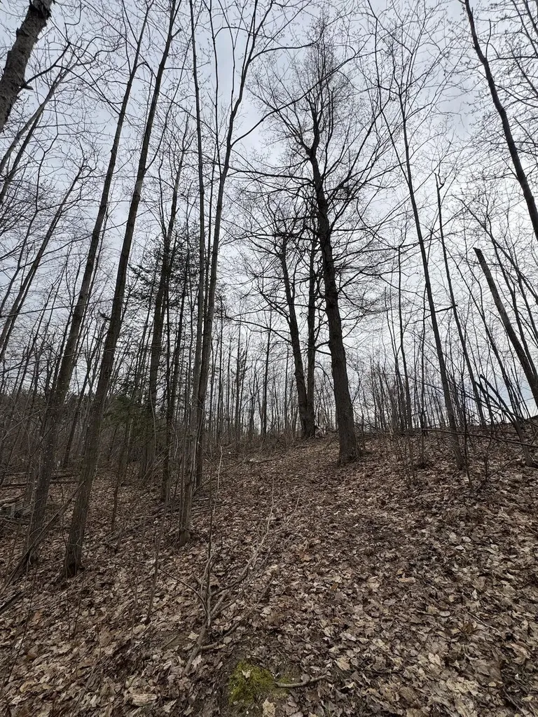 1734 N Galbraith Road Elmer Township MI 48647