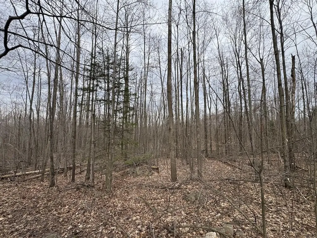1734 N Galbraith Road Elmer Township MI 48647