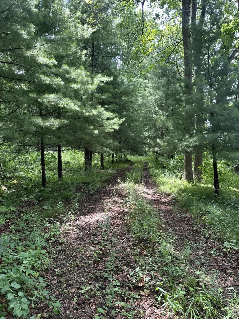 14765 Millard Road Fabius Township MI 49093
