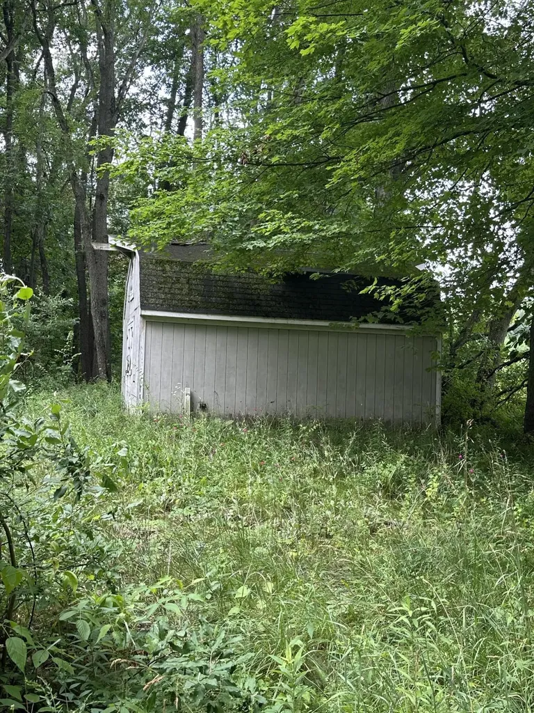 14765 Millard Road Fabius Township MI 49093