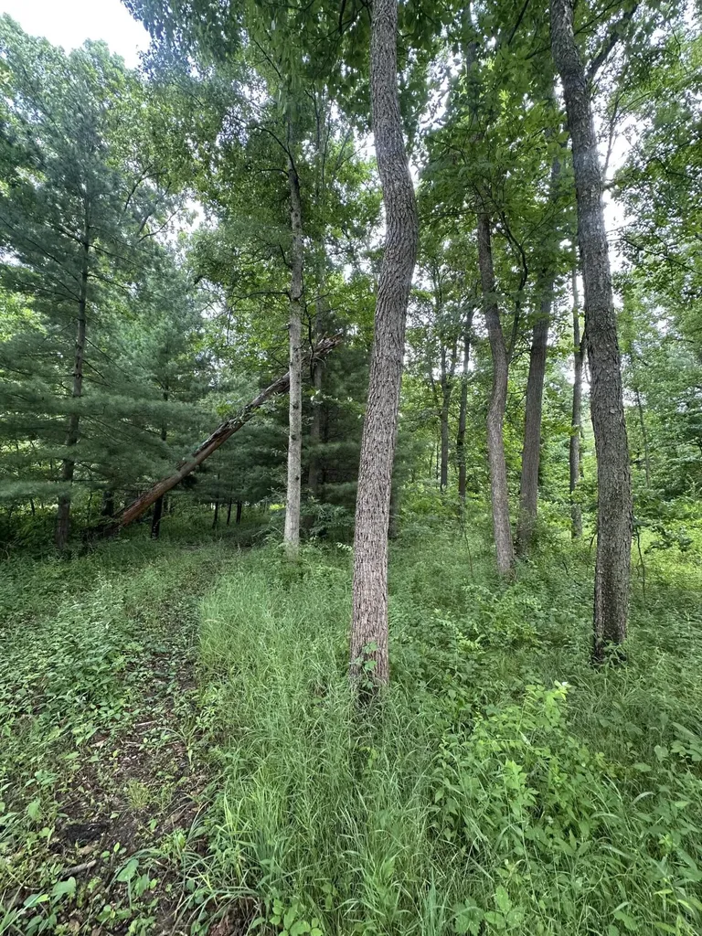 14765 Millard Road Fabius Township MI 49093