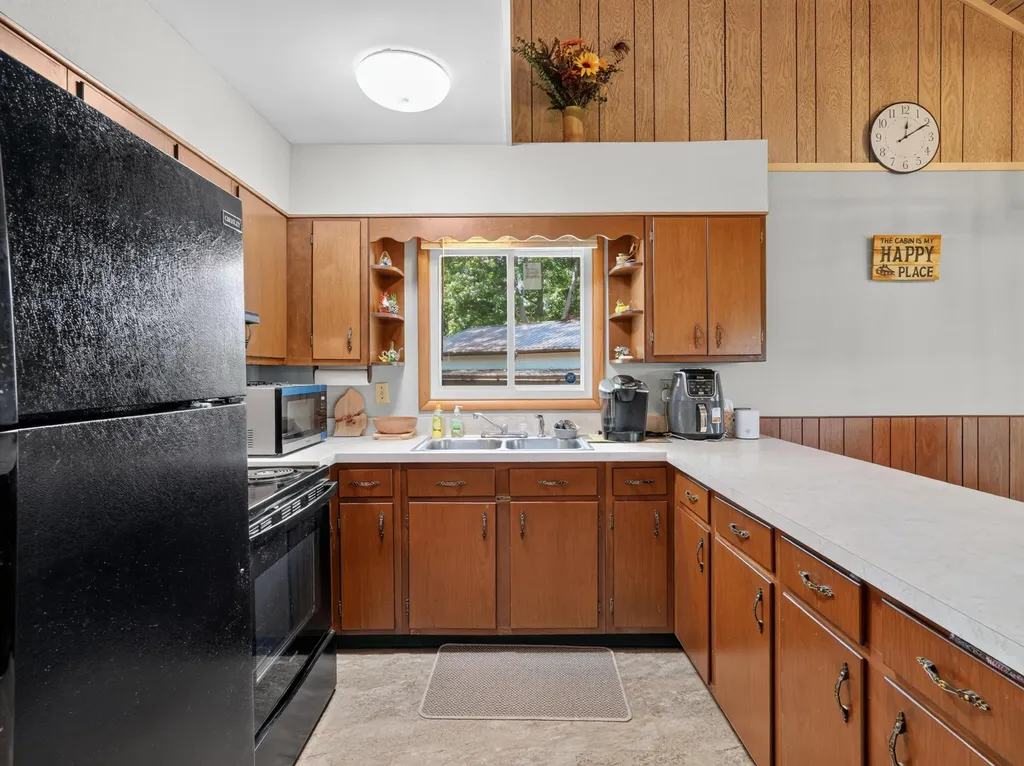 10041 Birch Drive Ferris Township MI 48877