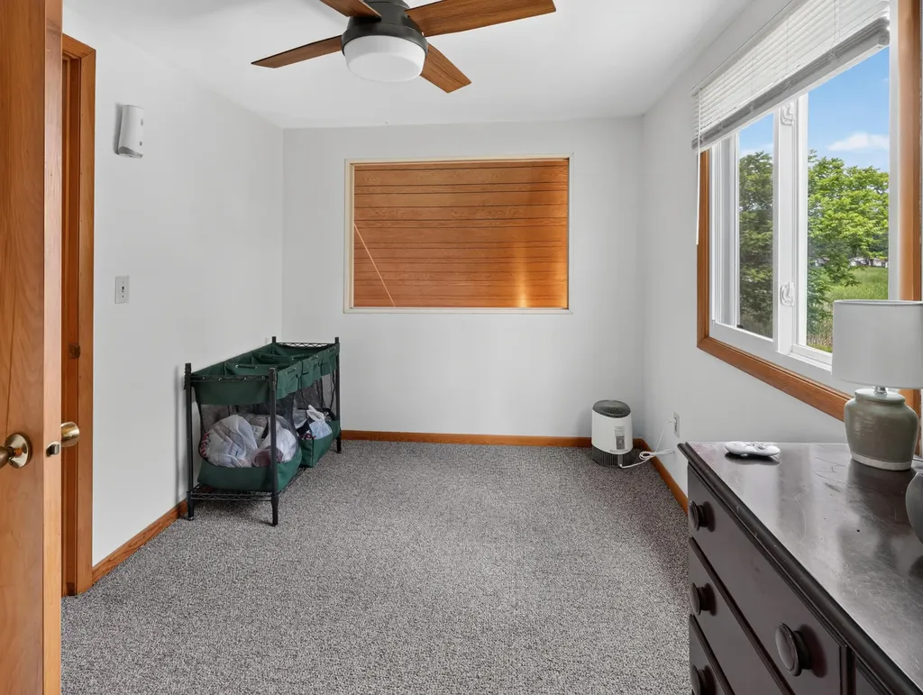 10041 Birch Drive Ferris Township MI 48877