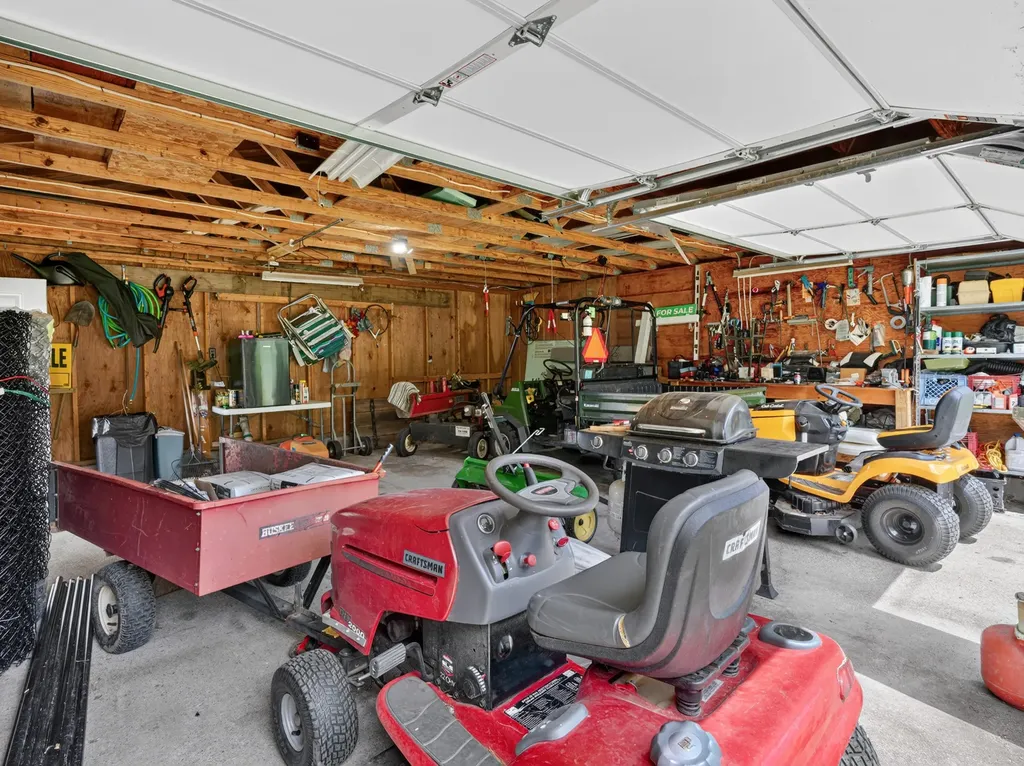 10041 Birch Drive Ferris Township MI 48877