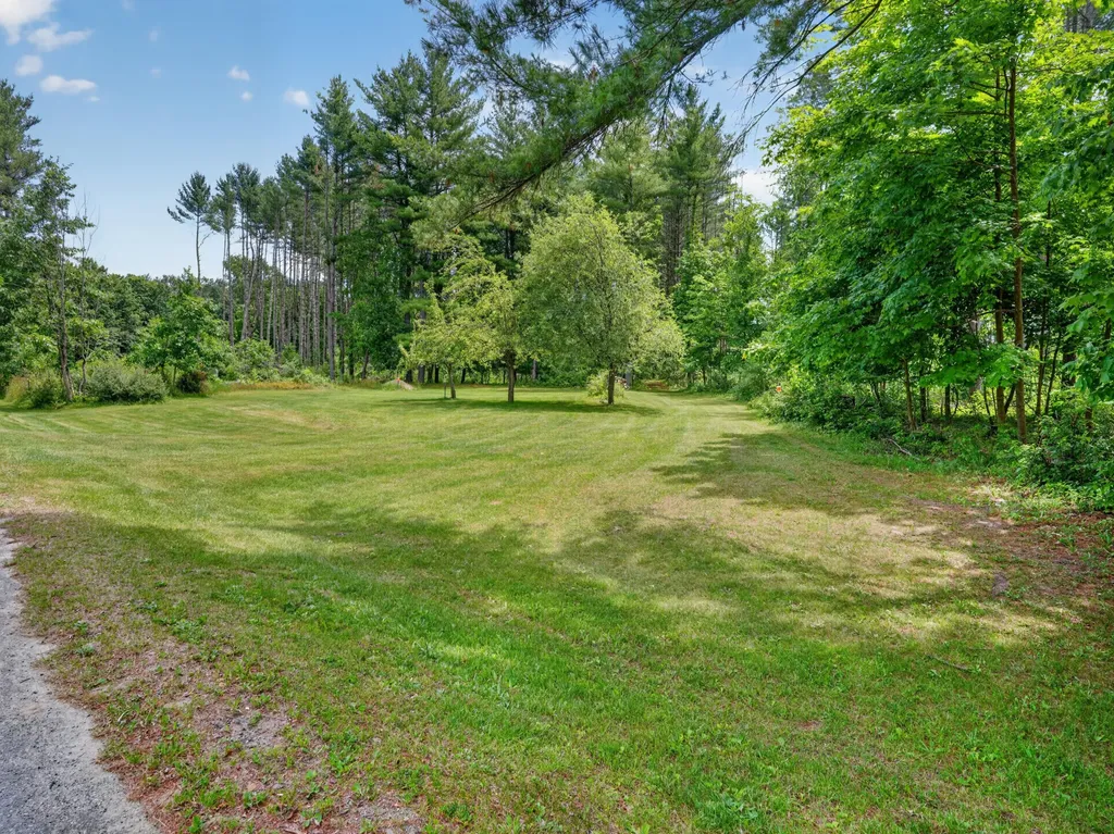 10041 Birch Drive Ferris Township MI 48877