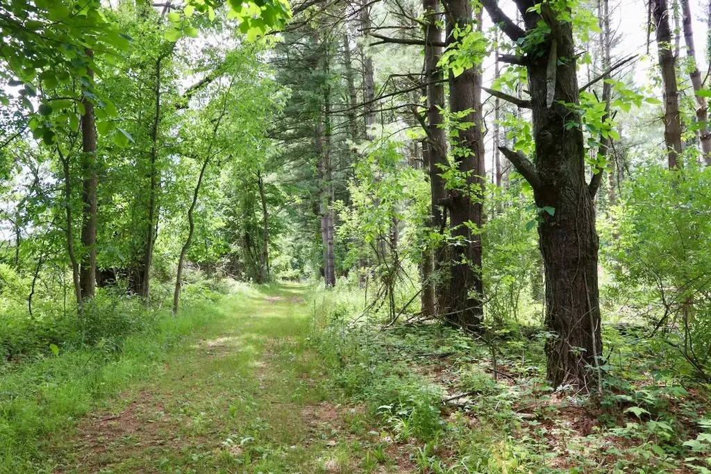 10041 Birch Drive Ferris Township MI 48877
