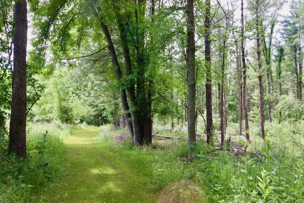 10041 Birch Drive Ferris Township MI 48877