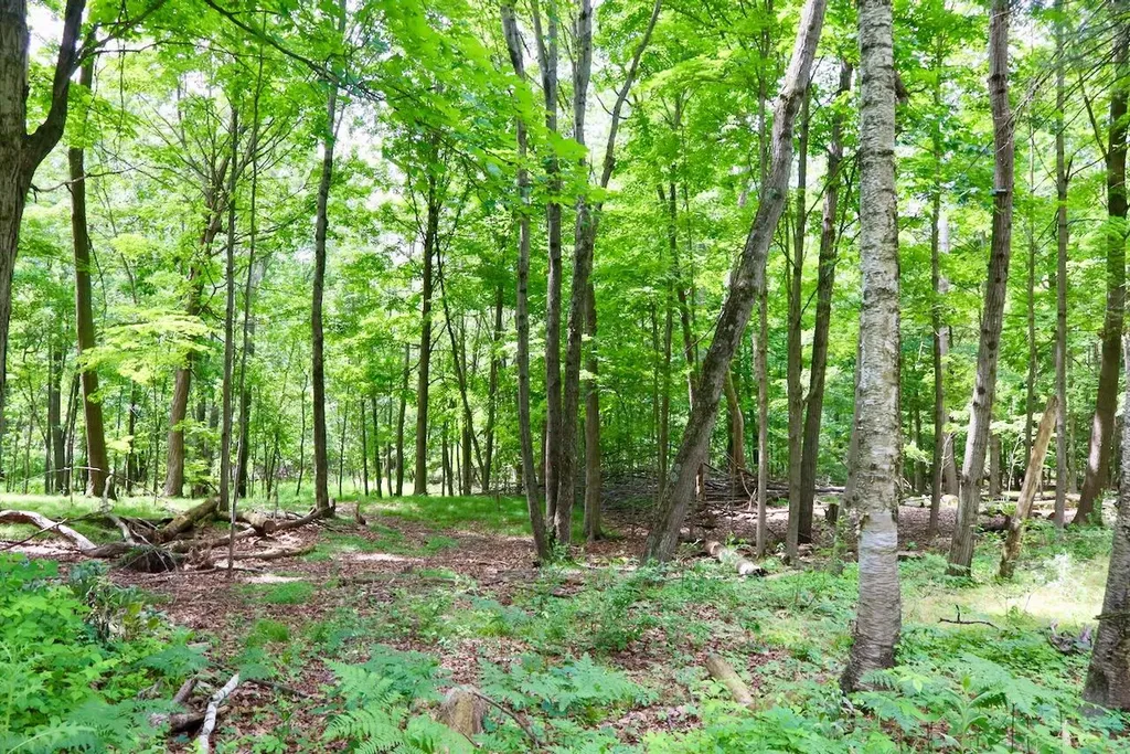 10041 Birch Drive Ferris Township MI 48877