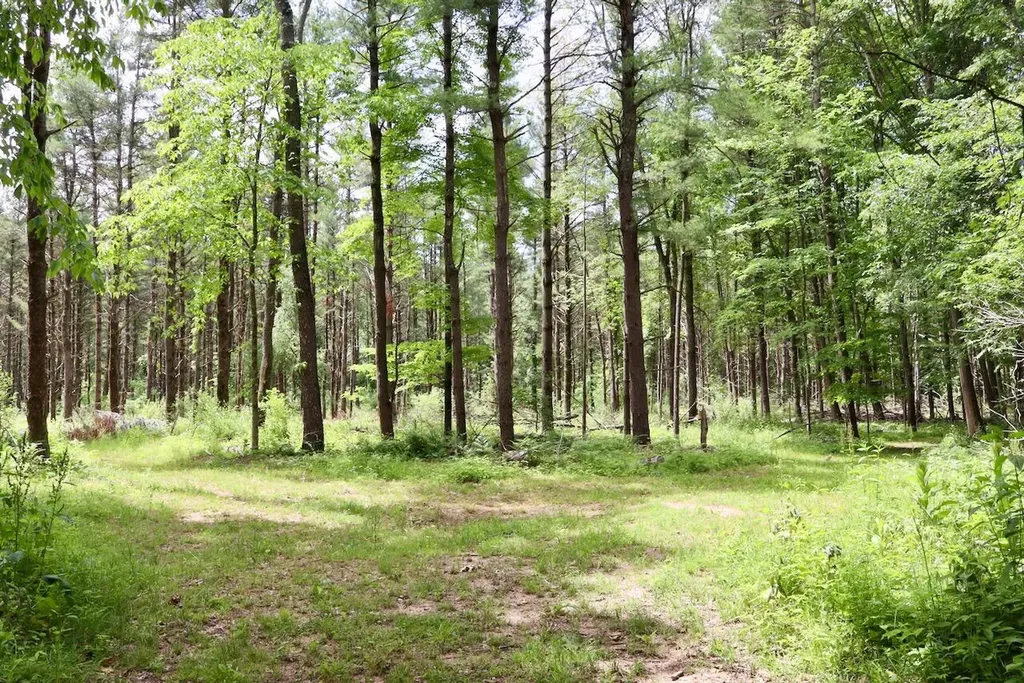 10041 Birch Drive Ferris Township MI 48877