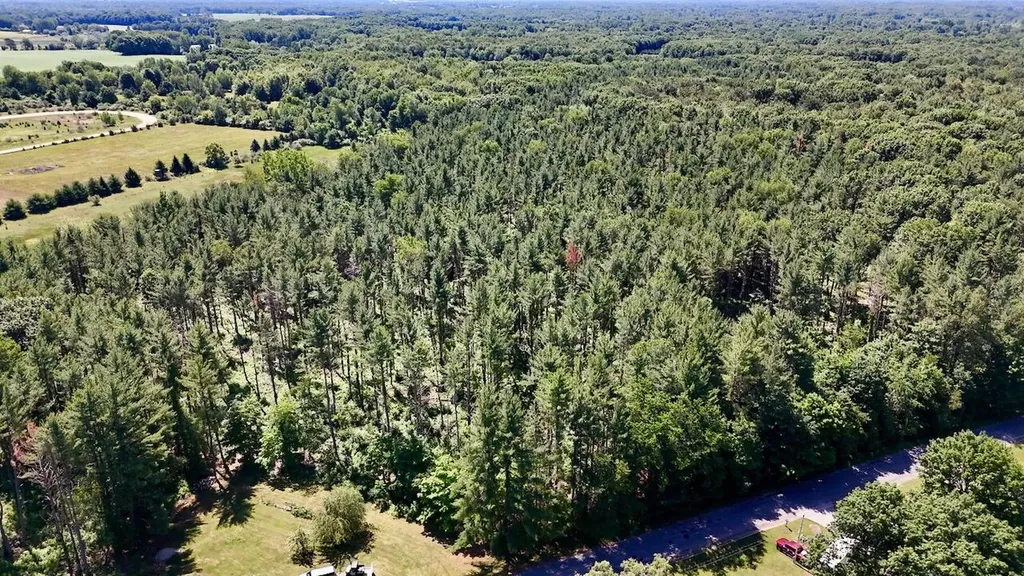 10041 Birch Drive Ferris Township MI 48877