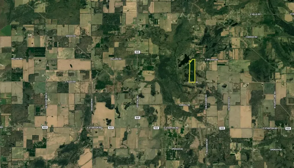 10041 Birch Drive Ferris Township MI 48877