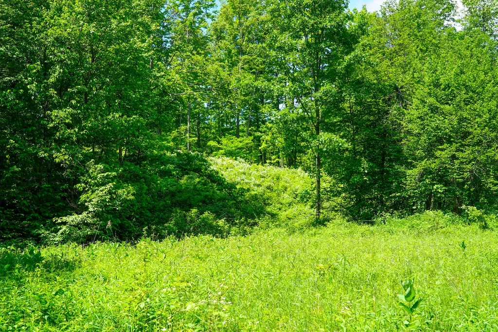 1244 Mayhew Road Rose Township MI 48654
