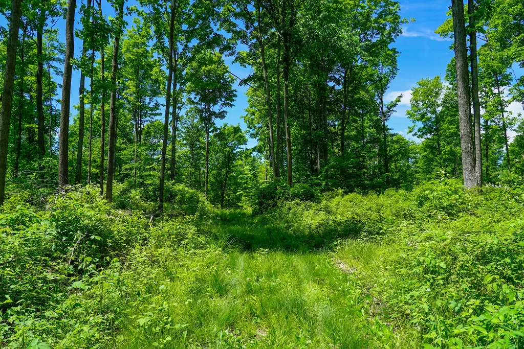 1244 Mayhew Road Rose Township MI 48654