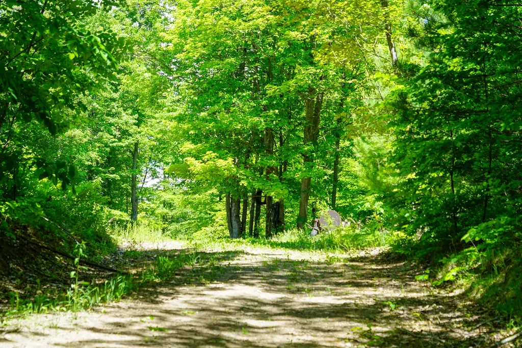 1244 Mayhew Road Rose Township MI 48654