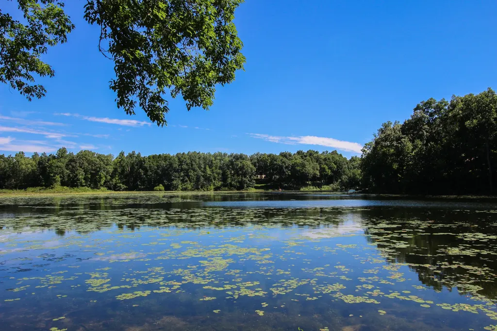 60061 Shafer Brothers Road Fabius Township MI 49093