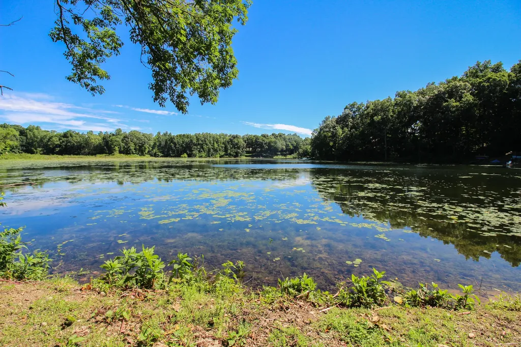 60061 Shafer Brothers Road Fabius Township MI 49093
