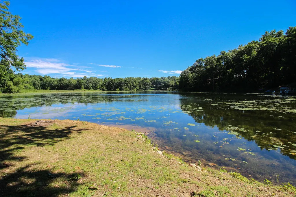 60061 Shafer Brothers Road Fabius Township MI 49093