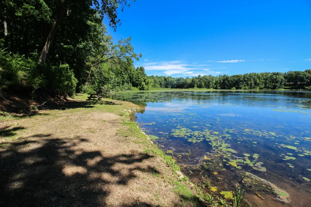60061 Shafer Brothers Road Fabius Township MI 49093