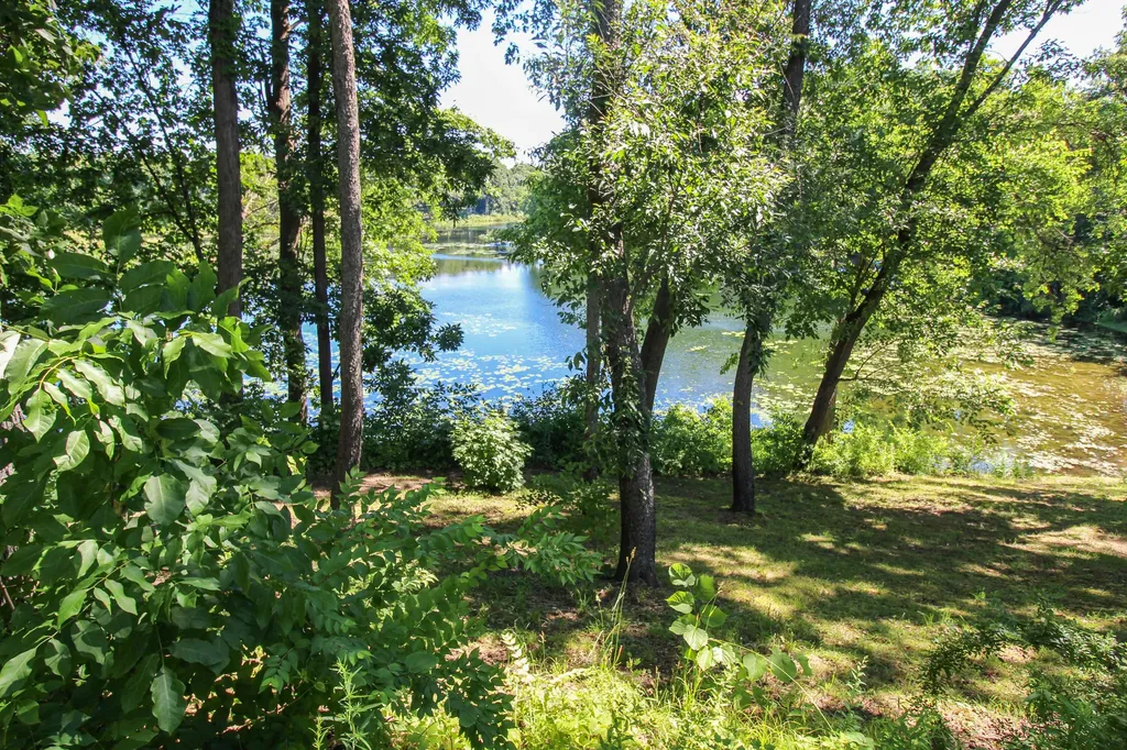 60061 Shafer Brothers Road Fabius Township MI 49093