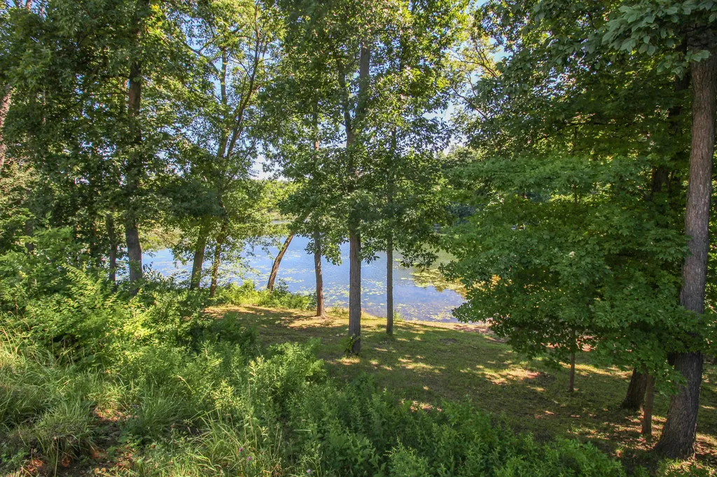 60061 Shafer Brothers Road Fabius Township MI 49093