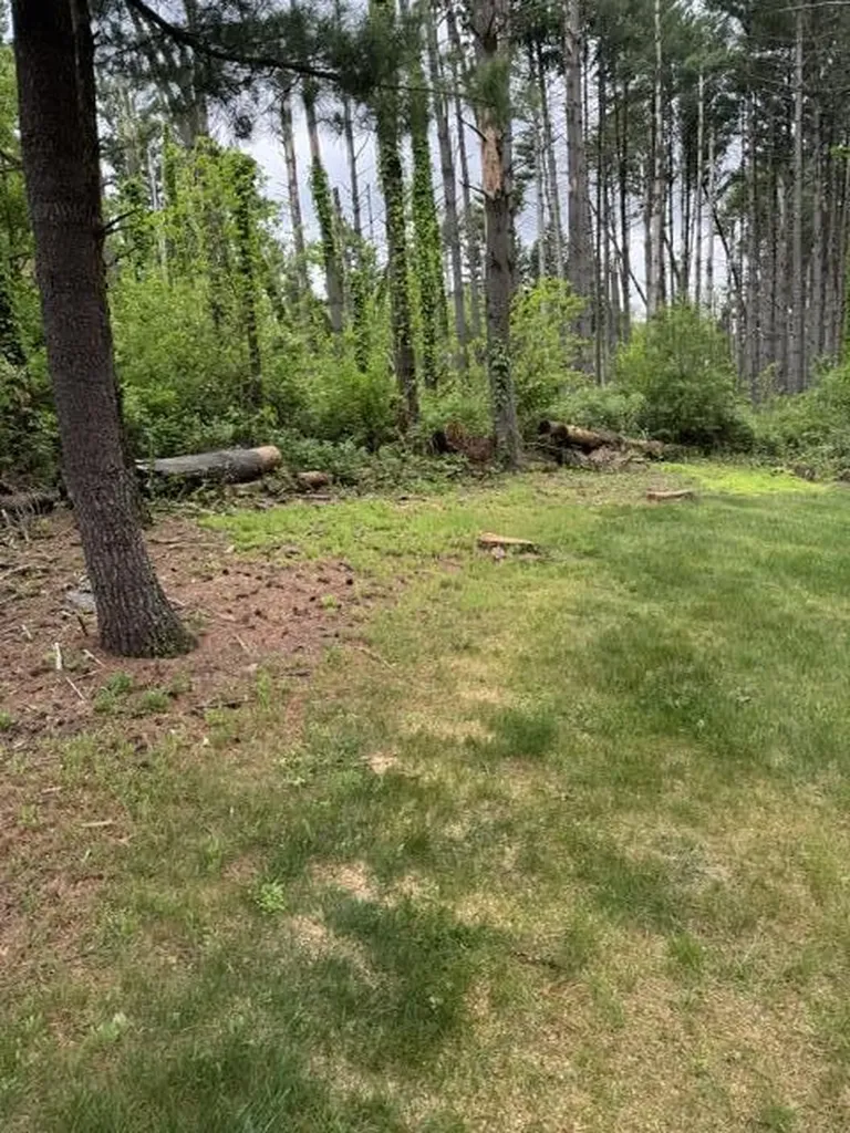 67224 Klinger Lake Road White Pigeon Township MI 49091