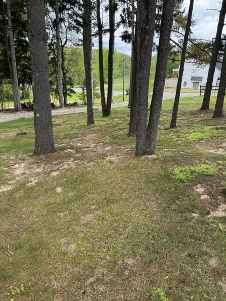 67224 Klinger Lake Road White Pigeon Township MI 49091