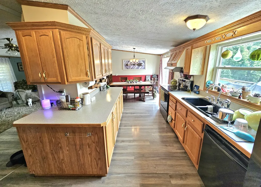13229 Harder Road Fabius Township MI 49093