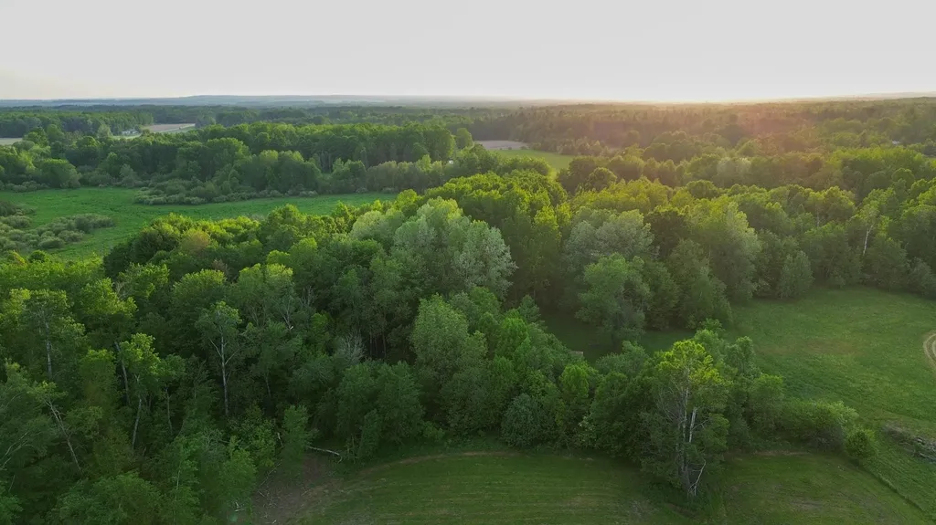 3091 E Sage Lake Hill Township MI 48635